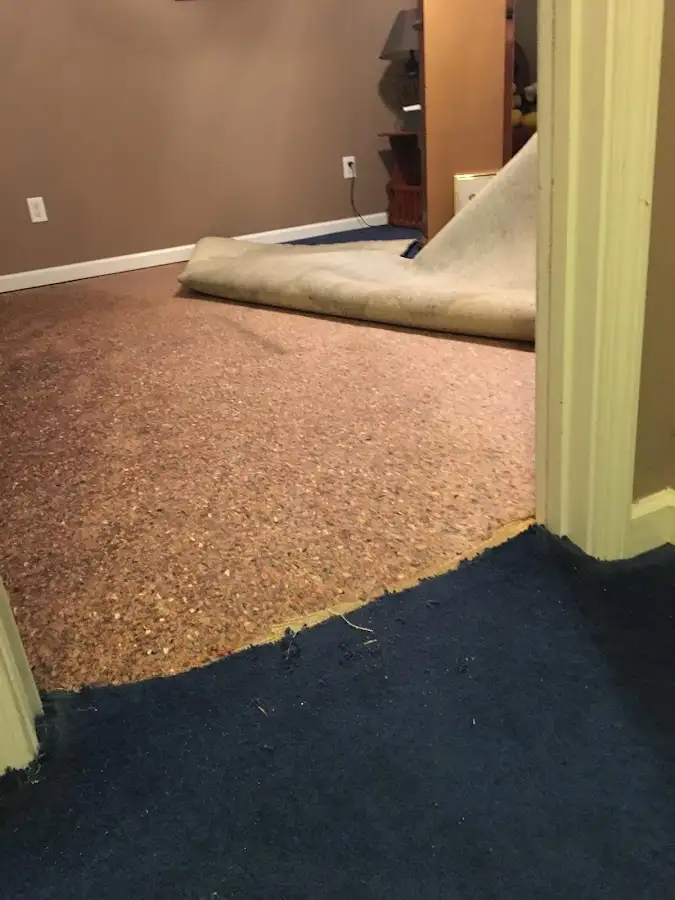 Carpet pad removal revealing water damage during Water Mitigation Services in Safety Harbor