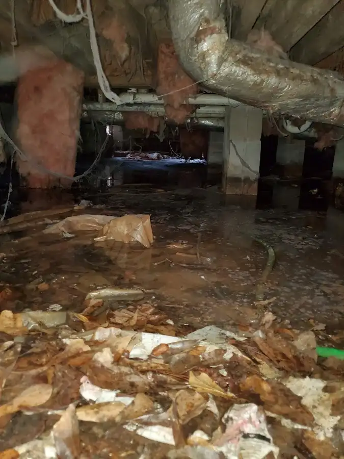 Crawl space flood assessment for Leak Detection & Repair in Safety Harbor