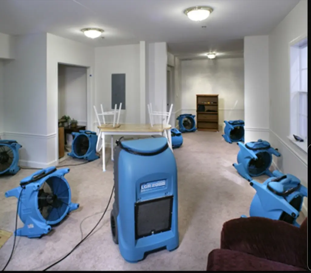 Air movers and dehumidifier setup for Water Extraction & Removal in Safety Harbor