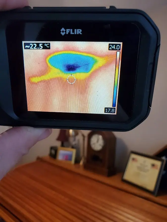 Thermal imaging inspection for water damage in Safety Harbor