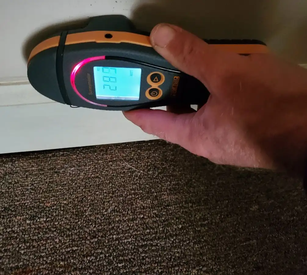 Moisture detection at baseboard during Burst Pipe Cleanup in Safety Harbor